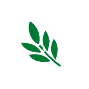 picto feuille image
