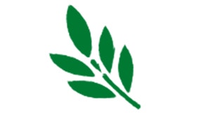 picto feuille image